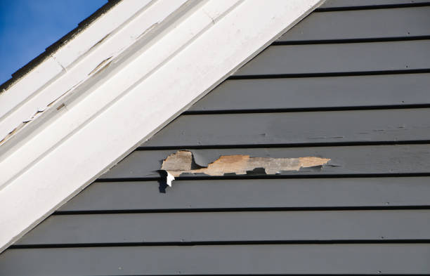 Best Custom Trim and Detailing for Siding  in USA